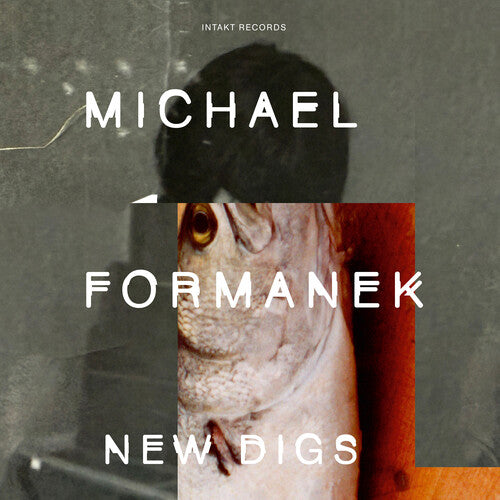 Formanek,michael - New Digs - Music CD