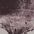 Mark Ijzerman - Flounder Maps [LP]