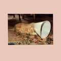 Langkamer - No - White Vinyl - Vinyl Record