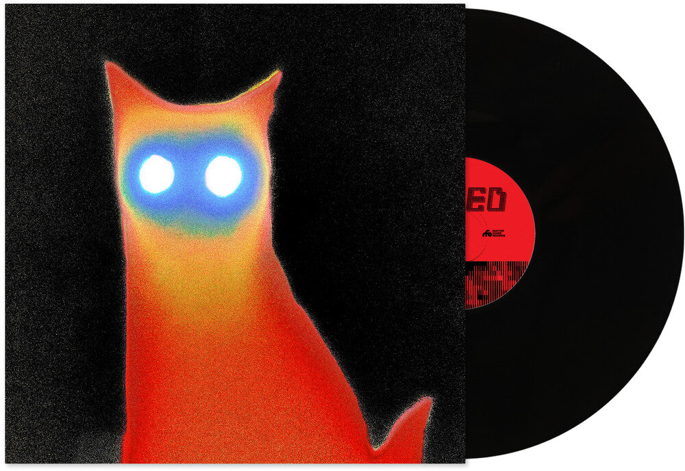 Basement - WIRED [LP]