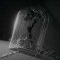 Visible Cloaks - Paradessence [Silver]