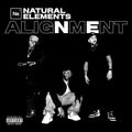 ALIGNMENT [LP] Vinyl Record