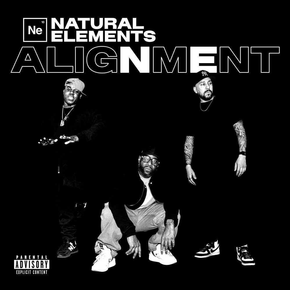 ALIGNMENT [LP] Vinyl Record