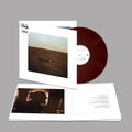 Fink - City Is Coming To Erase It All - Vinyl Record