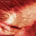 Tech037 (Ep) [12" Vinyl] Vinyl Record