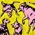 Jacobs,paul - Pink Dogs On The Green Grass - Vinyl Record
