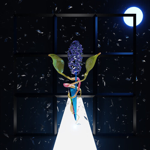 Thomas,darian Donovan - Room With Many Doors : Night - Vinyl Record