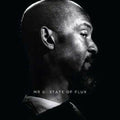 Mr G - State Of Flux - Music CD