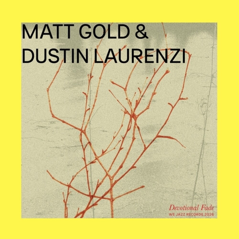 Matt Gold  / Laurenzi,Dustin - Devotional Fade [LP]