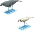Plannosaurus #08 Hydrodamalis Gigas Model Kit - Plannosaurus #08 Hydrodamalis Gigas Model Kit - Collectibles
