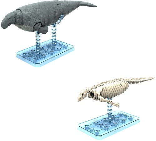 Plannosaurus #08 Hydrodamalis Gigas Model Kit - Plannosaurus #08 Hydrodamalis Gigas Model Kit - Collectibles