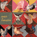 Thomas Dollbaum - Birds Of Paradise [Pink]