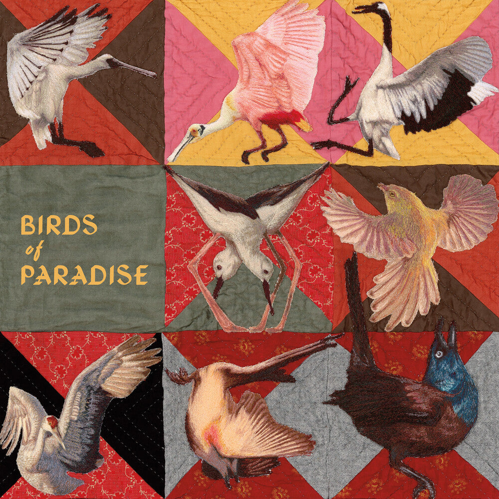 Thomas Dollbaum - Birds Of Paradise [Pink]