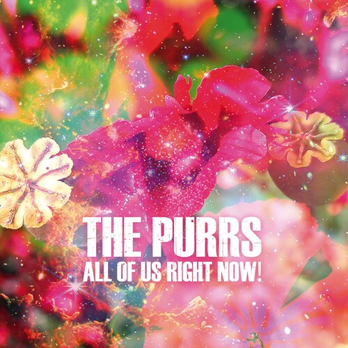 Purrs - All Of Us Right Now - Vinyl Record