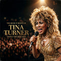 Turner,tina - Rock N Roots Of - Vinyl Record