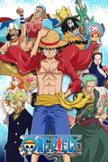 One Piece Pocket Notebook - One Piece Pocket Notebook - Collectibles