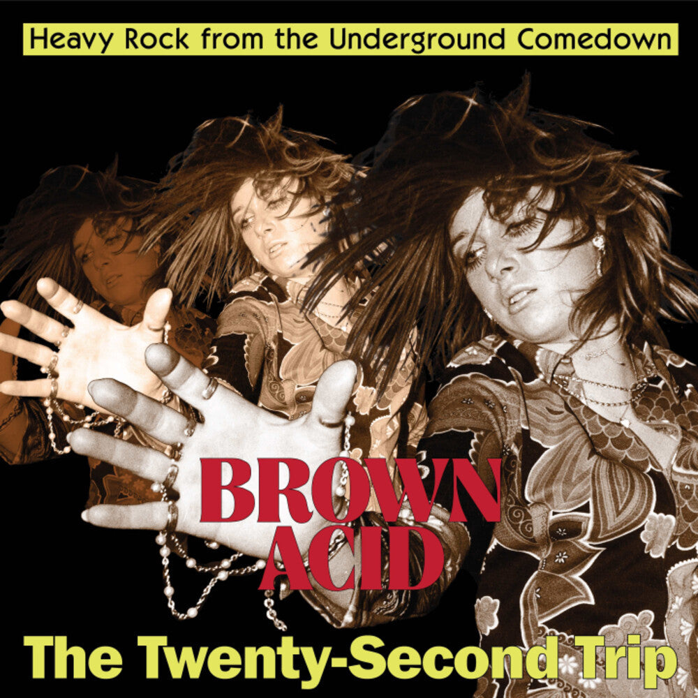 Brown Acid - Twenty-Second Trip / Various - Brown Acid - The Twenty-Second Trip (Various Artists) [LP]