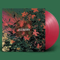 Canastereo - Jazmines - Vinyl Record