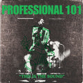 Professional 101 - This Is The Sound - Vinyl Record