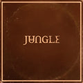 Jungle - Sunshine - Vinyl Record