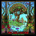 Grateful Dead 2027 - 12 Month Calendar - Grateful Dead 2027 - 12 Month Calendar - Novelties
