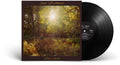 Amen,alex - Sun Of Amen - Vinyl Record
