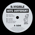 B Visible - Hits Different - Vinyl Record