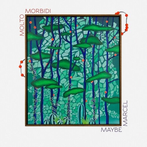 Molto Morbidi - Maybe Marcel - Vinyl Record