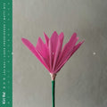 Kiri Ra - Nen - Music CD