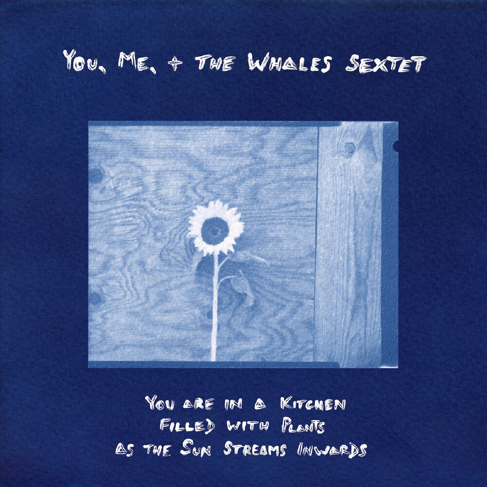 You, Me, + The Whales Sextet - You Are In A Kitchen Filled With Plants As The Sun [LP]