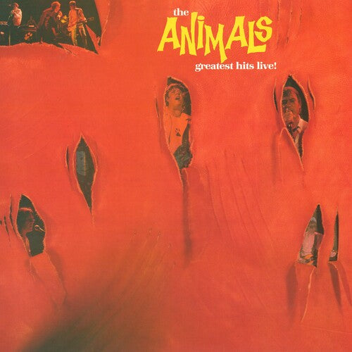 Animals - Greatest Hits Live - Vinyl Record