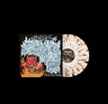 Hold My Own - Pay No Mind - Vinyl Record