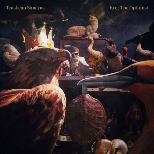 Trashcan Sinatras - Ever The Optimist - Vinyl Record
