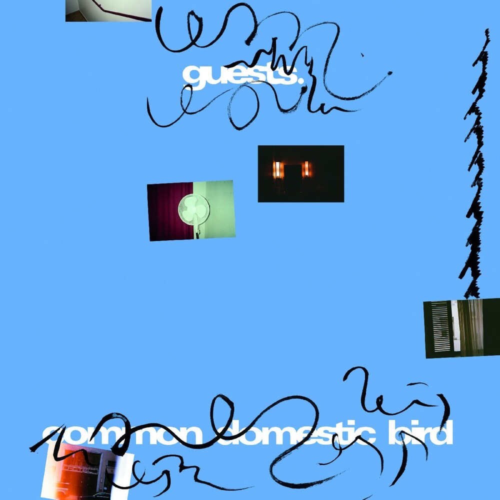 Guests - Common Domestic Bird [LP]