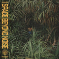 Not Even Noticed - Space Beyond Noise - Vinyl Record