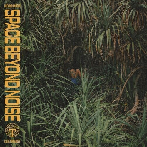 Not Even Noticed - Space Beyond Noise - Vinyl Record