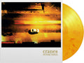 Future Songs [LP] Vinyl Record