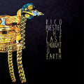 Last Thought On Earth Music CD
