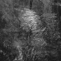 Sania,rafa Ramos - Broadcast Of Your Silence - Music CD