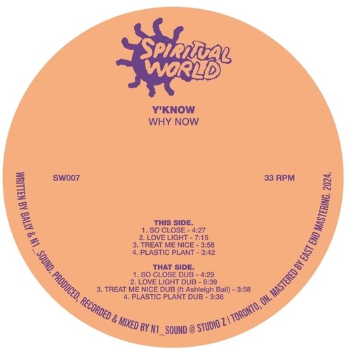 Y'know - Why Now - Vinyl Record