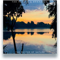 Rurals & Shamrock - Rhythm Of Nature - Vinyl Record