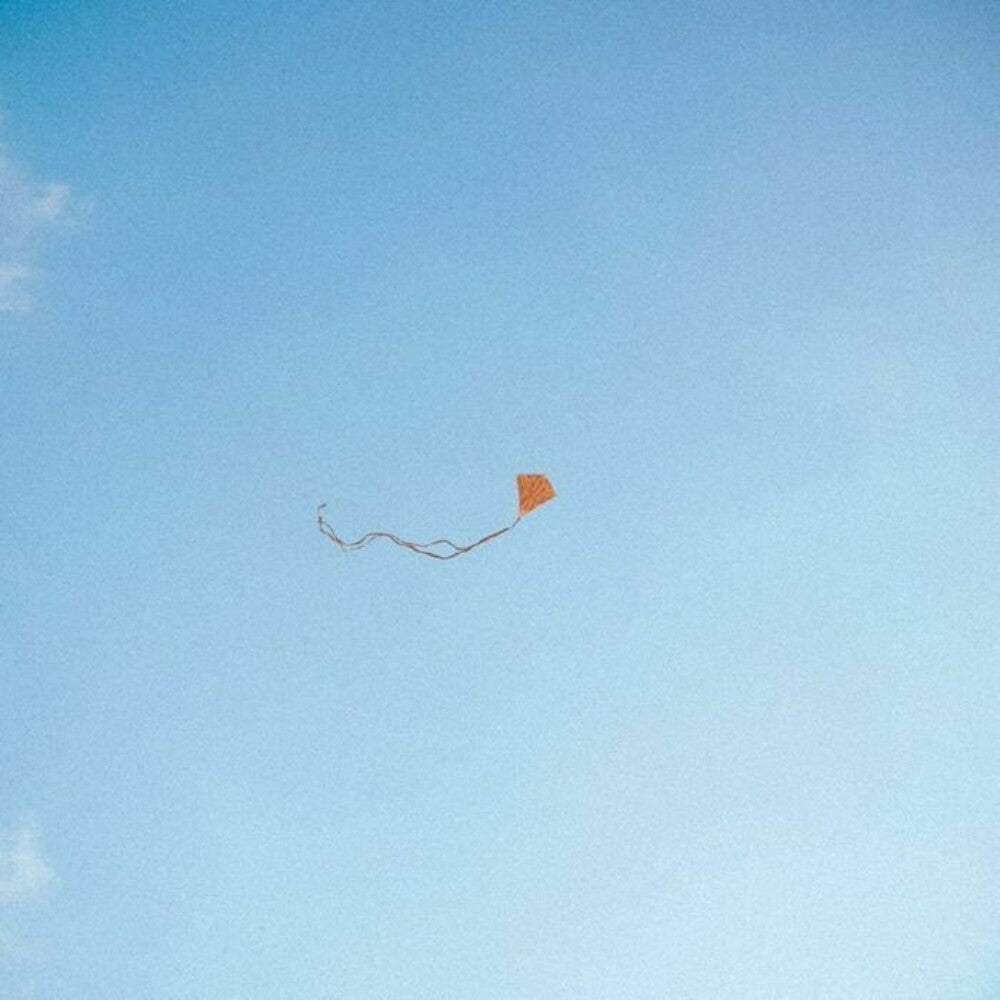 Chris Stussy - Lost Found & Forgotten [LP]