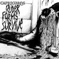 Capricorns - Ruder Forms Survive - Vinyl Record