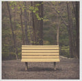 Streetlight Manifesto - Hands That Thieve - Vinyl Record