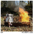 Pup - Dream Is Over [Cassette]