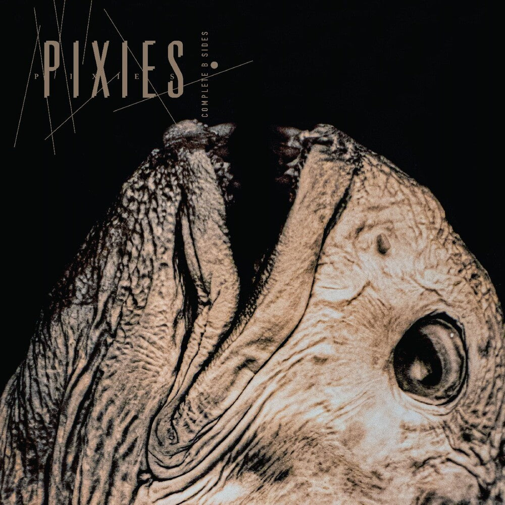 Pixies - Complete B Sides: 1988-97 [LP]
