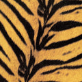 High-lows - Tigermobile - Vinyl Record
