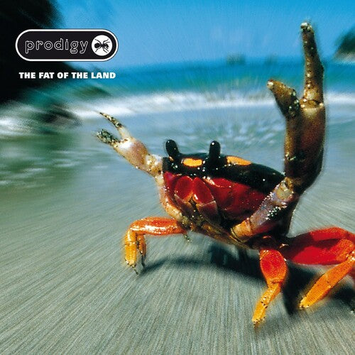 Prodigy - Fat Of The Land - Music CD