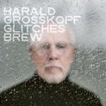 Grosskopf,harald - Glitches Brew - Vinyl Record