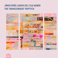 Aved,janos / Six,david / Weber,tilo - Transcendent Triptych - Music CD